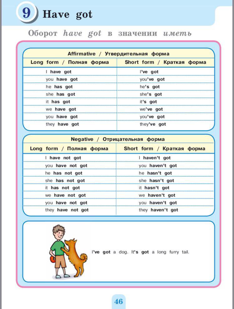 оборот have got. конструкция have got и has got 5 класс. Have has краткая форма. структура have got has got. оборот has got.