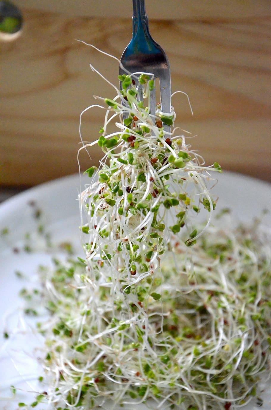 Sprouts Definition,Nutrients,Types,Benefits,How to make,How to eat