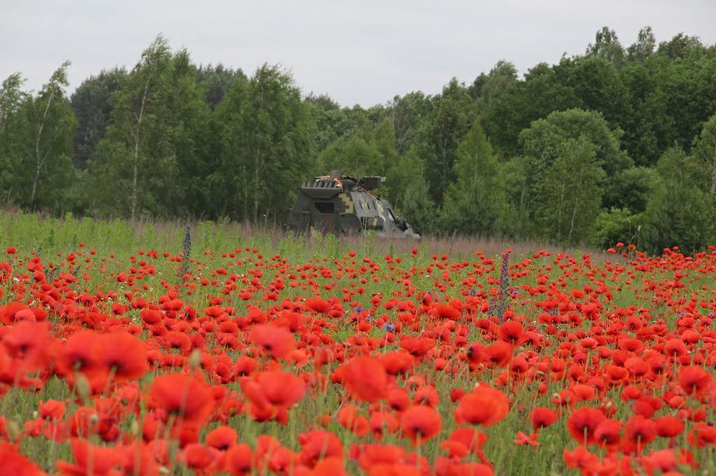 червень телефона. червень минская область. червень телефона. минский областной краеведческий музей здание. червень город.