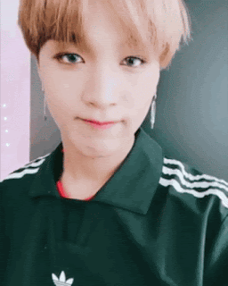 55.gif
