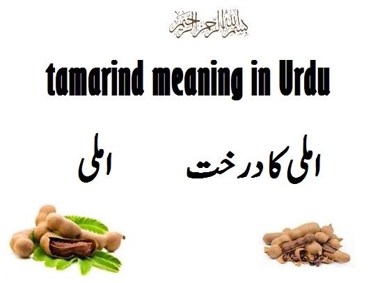 Quantum Meaning In Urdu Quantum Computing