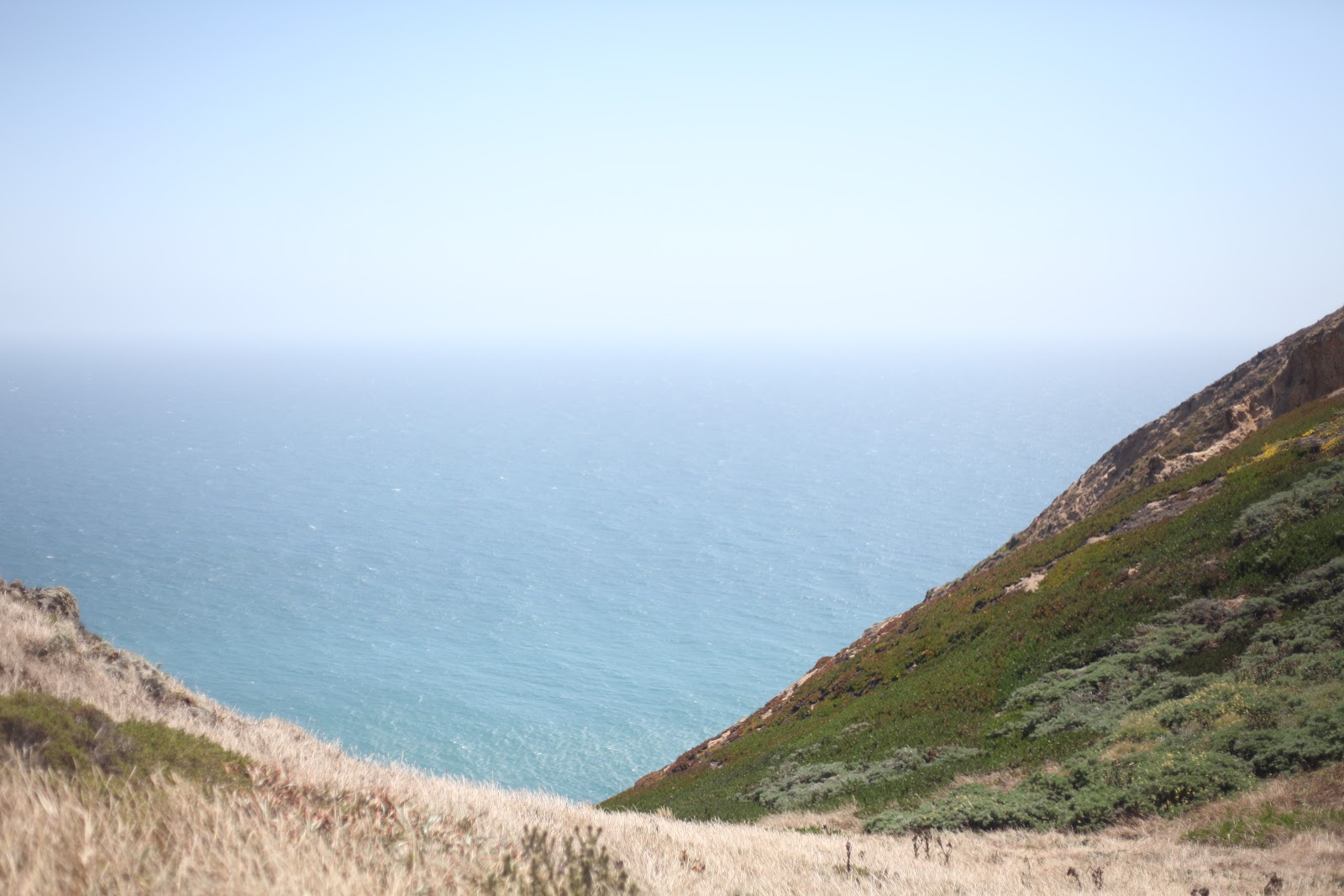 house of habit Tomales Bay with Airbnb