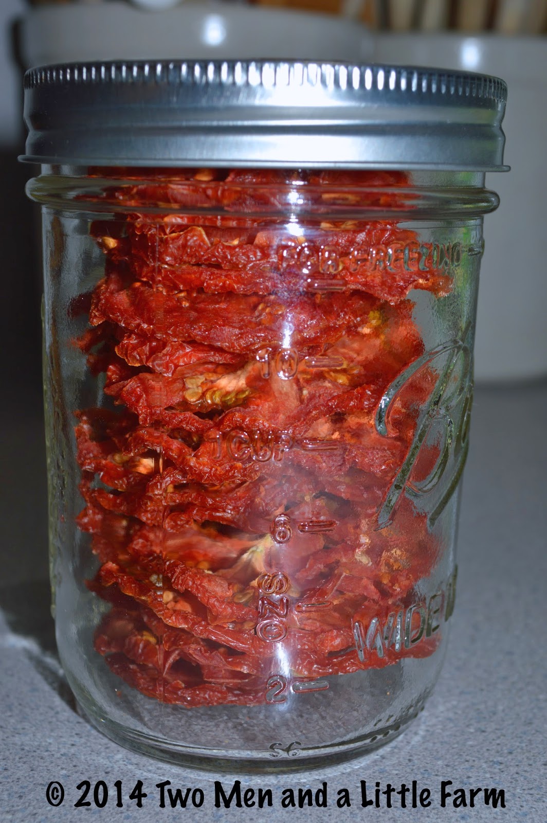 http://1.bp.blogspot.com/-YPNcJRpO6fc/UyYMh17NnII/AAAAAAAAOeg/_xR2oRCd0Mg/s1600/dehydrating+tomatoes+5.jpg