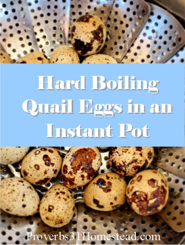 How to Hard Boil Quail Eggs in an Instant Pot (with video) - Proverbs