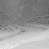 CHAOS IN WHITE: Sandy Blizzard 2012 in North Central West Virginia