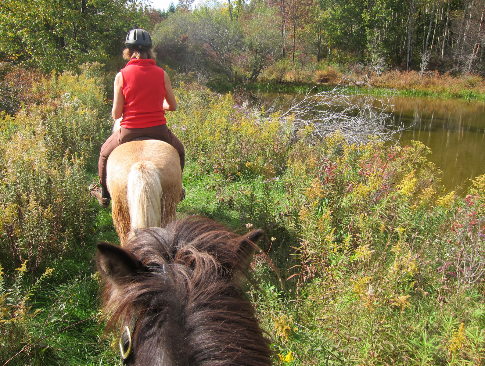 suustainable Fingerlakes Forest Backbone Trail