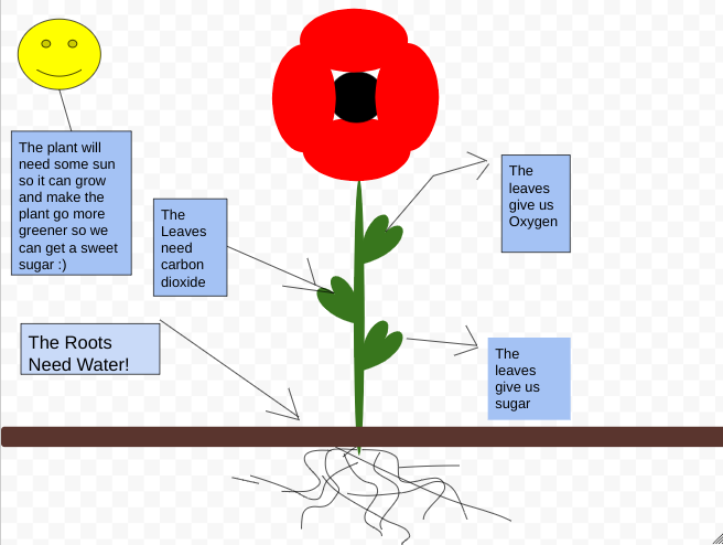 Poppy : Today's Science!
