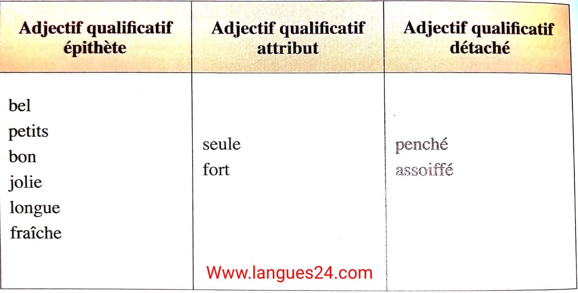 les adjectifs qualificatifs exercices corrigés