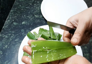 How to Preserve Aloe vera gel