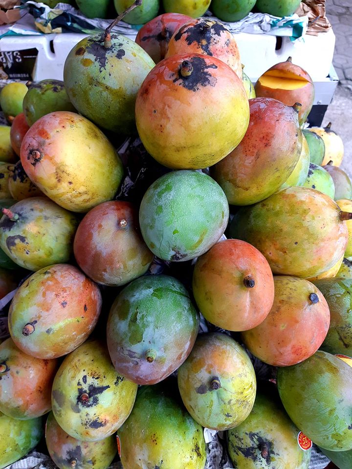 Mangifera indica, Mangga Irwin