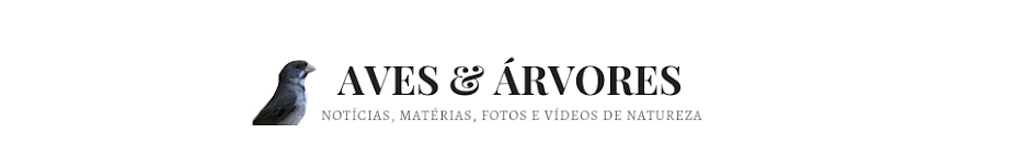 Aves e Árvores