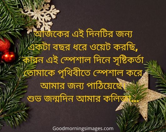 subho jonmodin poem in bengali subho jonmodin poem in bengali