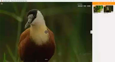 CnX Media Player Pemutar Video 4K HDR Untuk Windows 10 CnX Media Player Pemutar Video 4K HDR Untuk Windows 10