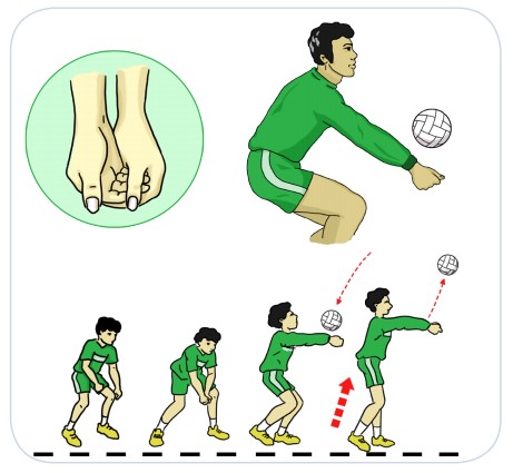 Gerak Dasar Passing Bawah Bolavoli Guru Olahraga