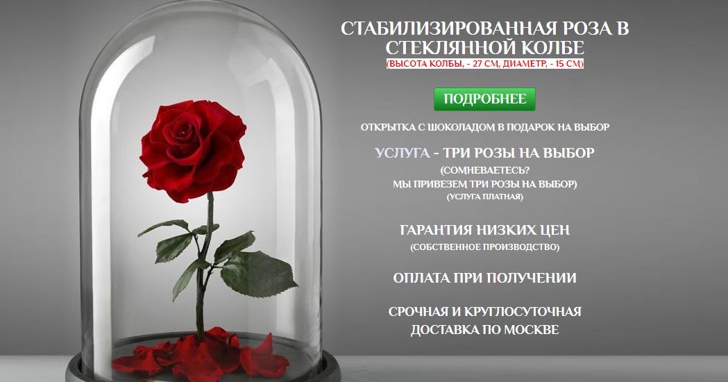 Роза в колбе цена в москве
