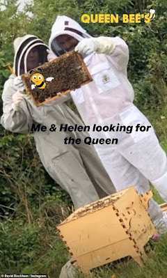 O David Beckham θα κυκλοφορήσει το δικό του οργανικό μέλι