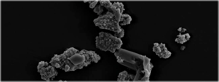 microbio que come meteoritos