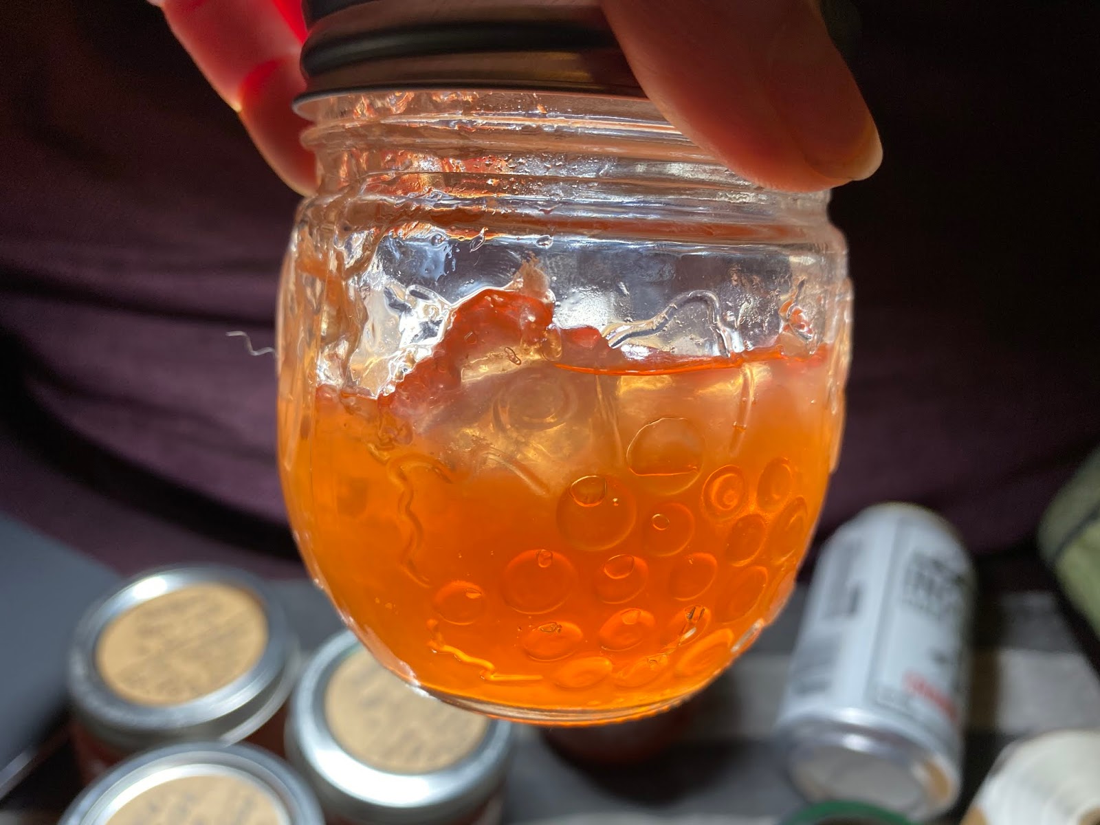 The Adventures of Team WilSun Adventure 42/50 Making hard cider jelly