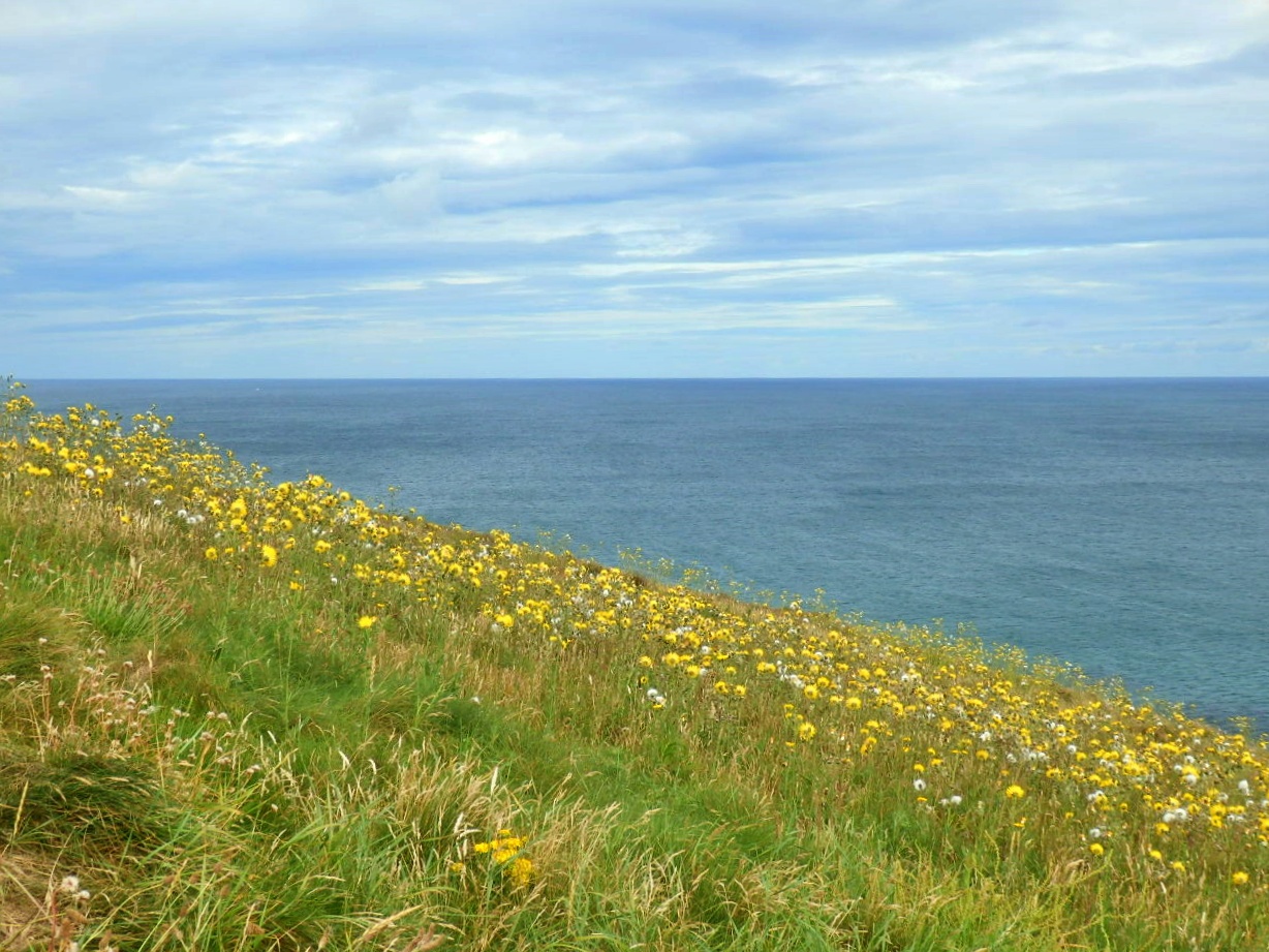 Mike's Cornwall Newquay Cliff Tops Plus an Abundance of Sand at the Gannel Estuary, Cornwall