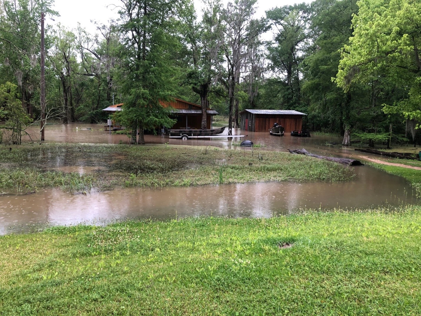 All Things Bayou Pigeon