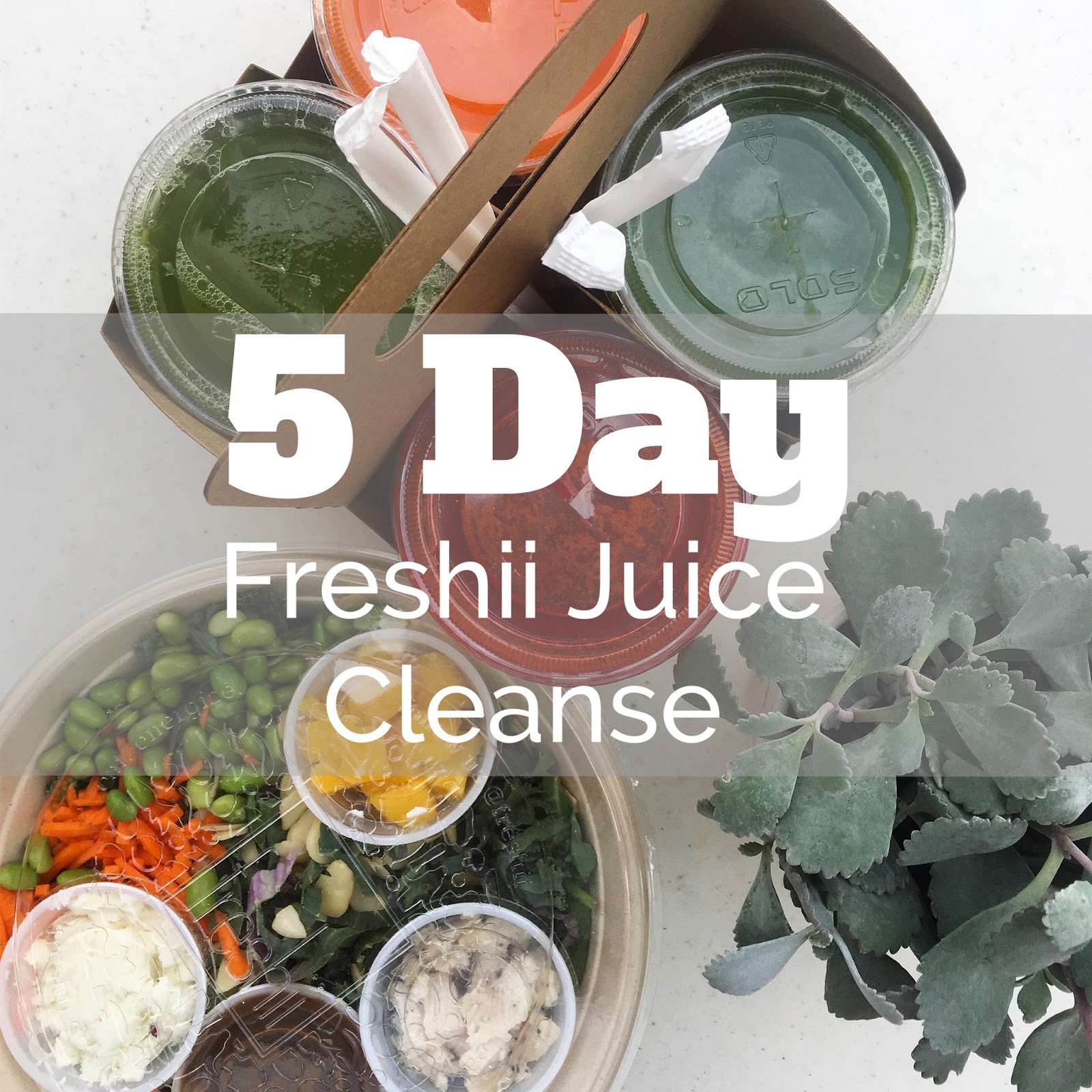 confidently courtney 5 Day Freshii Juice Cleanse