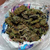 Detiene SSP a uno en posesión de marihuana en Morelia