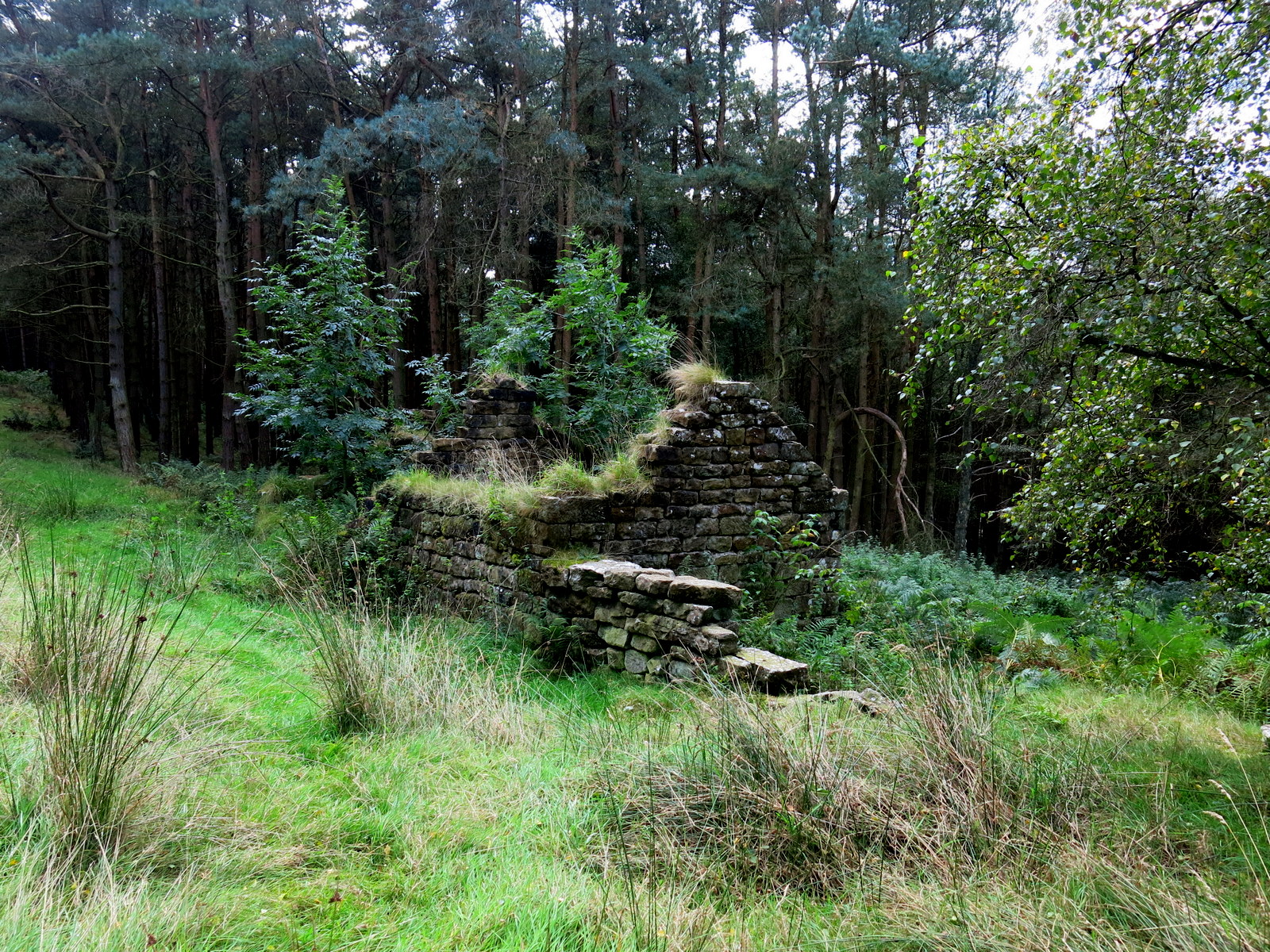 Walking in North Yorkshire