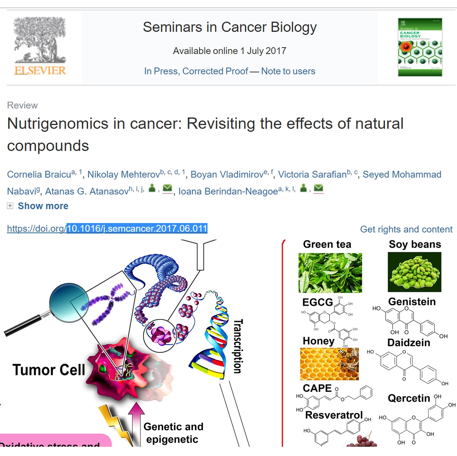 Health and Science Portal Nutrigenomics in cancer revisiting the