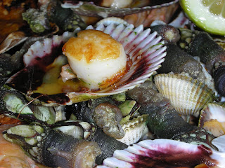 DSCN5323.JPG