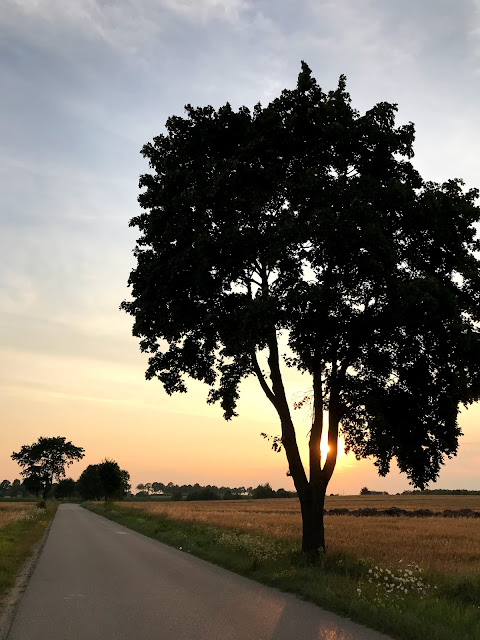 Najczęściej uczęszczana droga.