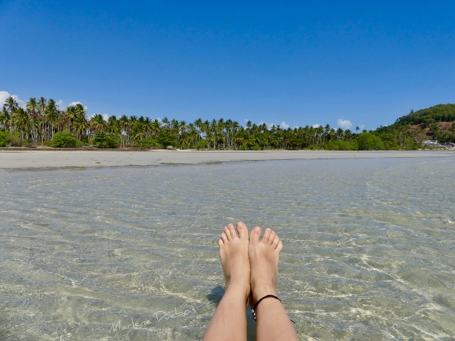 Marlenes Golden Cat Travel