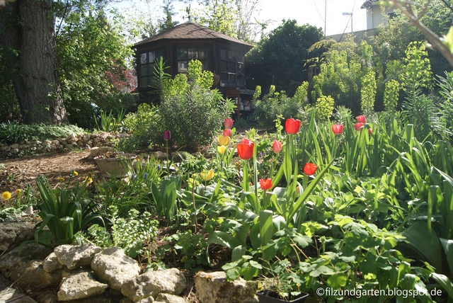 Filz und Garten Gartenblog Garten im April