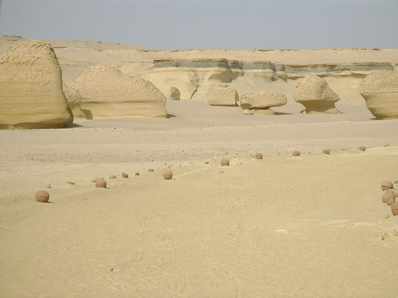 وادي الحيتان - حياة بحرية في قلب الصحراء