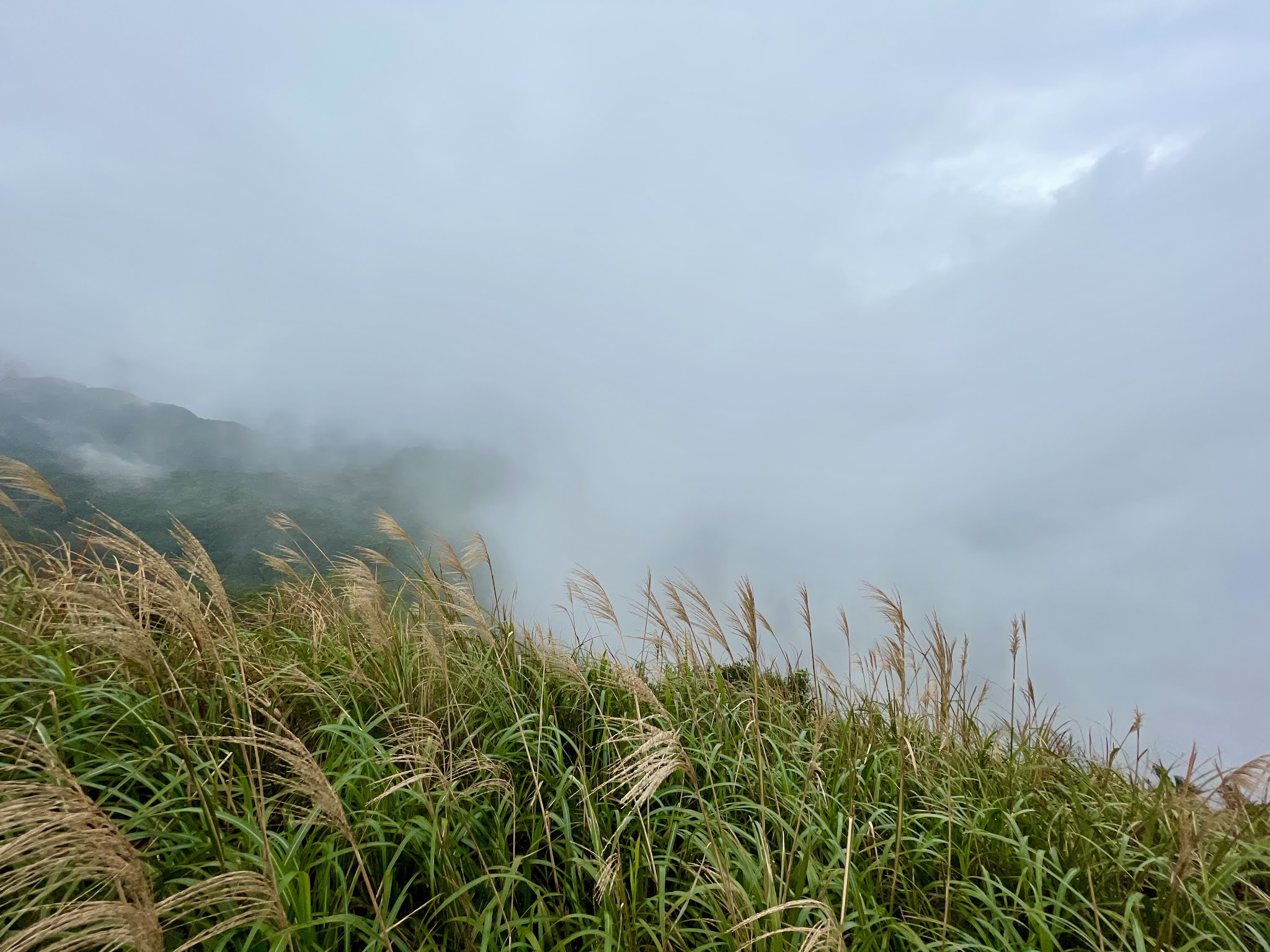 黃金稜線龍洞稜走向草山的稜線