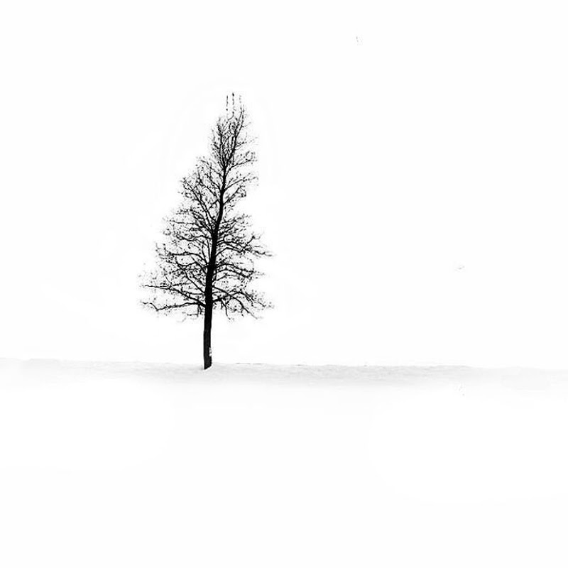 Nature by Minimalist Photographer Karin Hetzlinger from Austria.