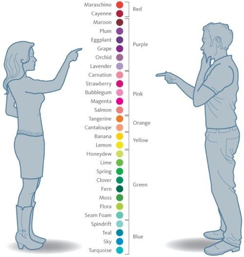 Bella Storia How To Pick A Color Scheme Haha I Love This So True Right