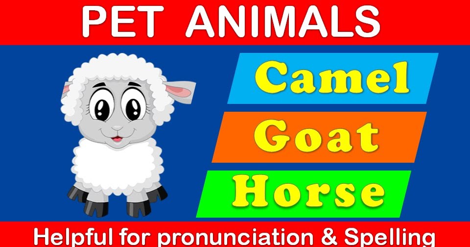 Pet Animals Name ~ PDM CHILD STUDY