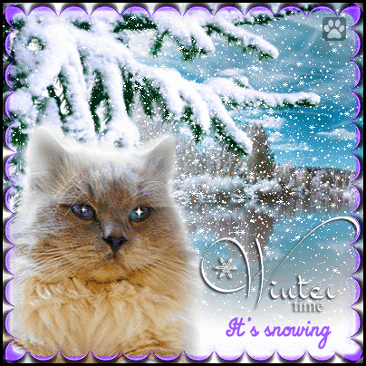 Art Cat GIF with caption • It's snowing, It's Winter time and Kitty is depressed but SPRING is coming... SOON :) Art Cat GIF with caption • It's snowing, It's Winter time and Kitty is depressed but SPRING is coming... SOON :)
