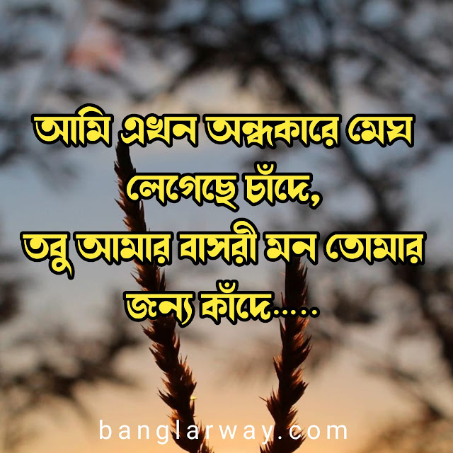 Bengali Love Quotes For GirlFriend