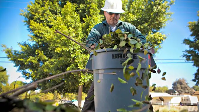 TIPS TO REINVENT YOUR QUALITY TREE CARE AND WIN
