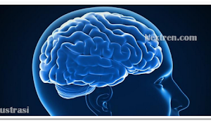 Radiasi Smartphone Berbahaya Buat Anak...