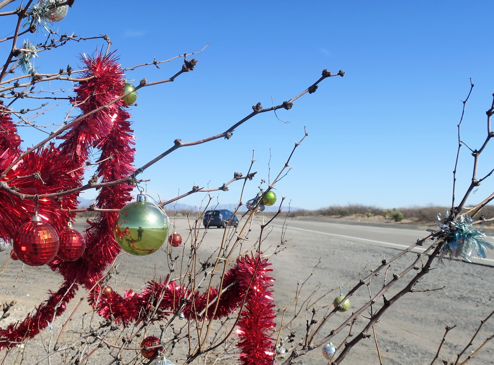 Living Rootless El Paso 2019 to Columbus NM Highway 9 Red Sparklies