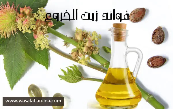 فوائد زيت الخروع للبشرة و الشعر