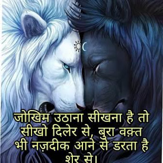 SHER status in hindi SHER status in hindi