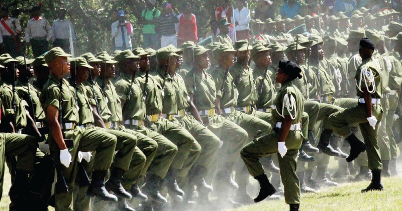 REASON WHY COMMANDER OF LESOTHO DEFENSE FORCE SHOT DEAD.