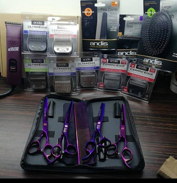 Basic Dog Grooming Steps