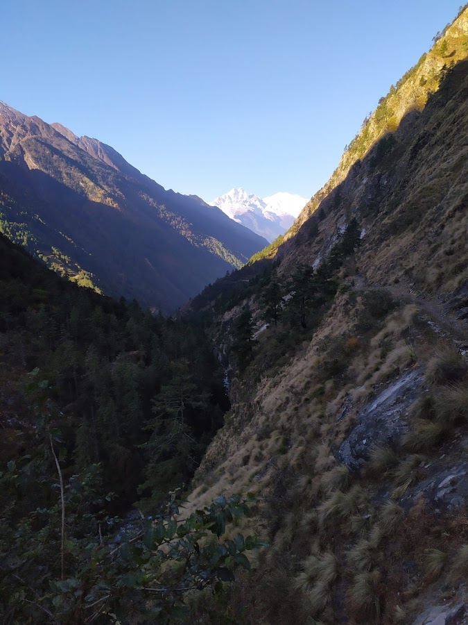 По долине Цум и вокруг Манаслу не галопом, ноябрь 2019.