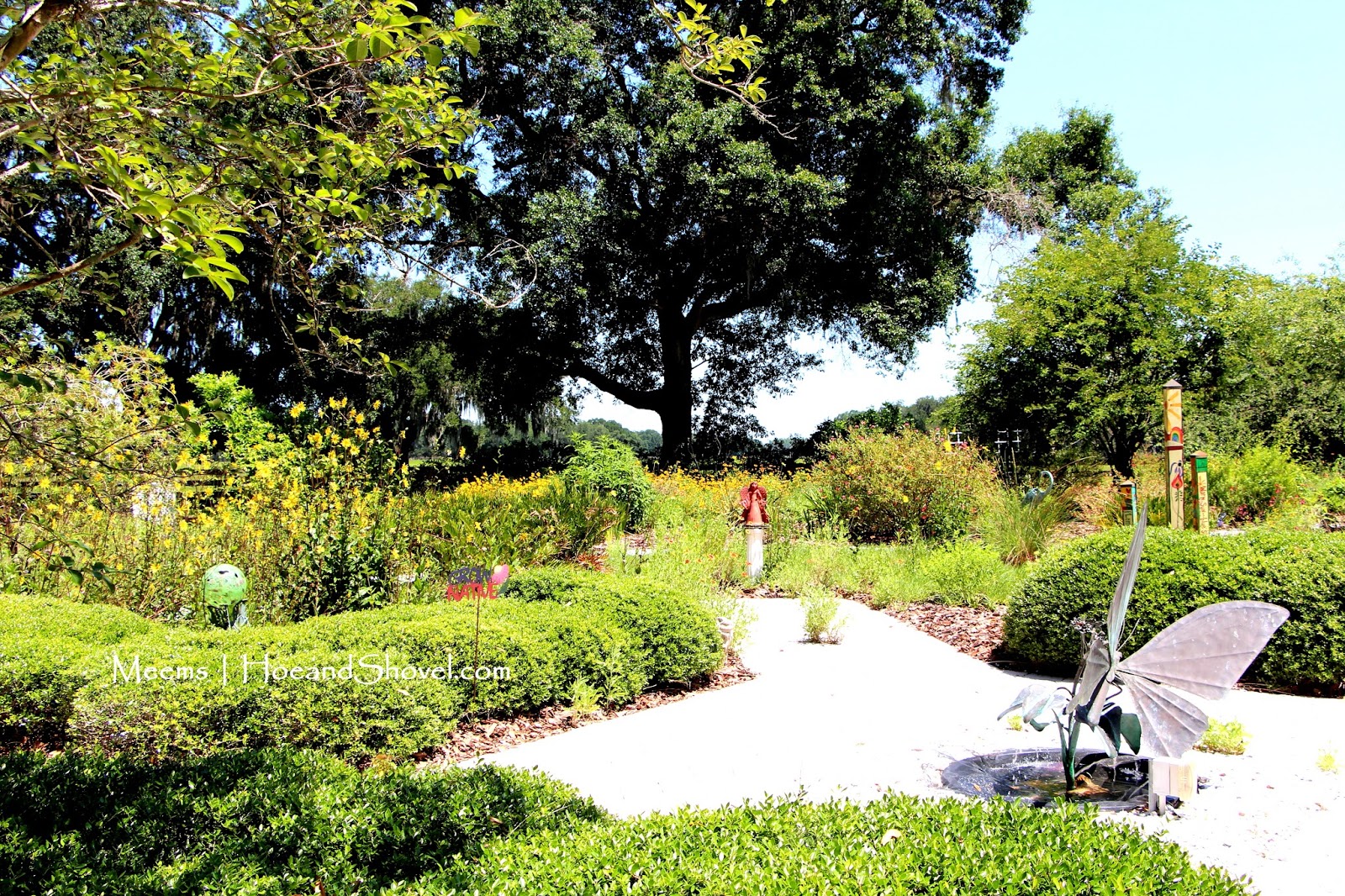 Hoe and Shovel: A Florida Wildflower Garden