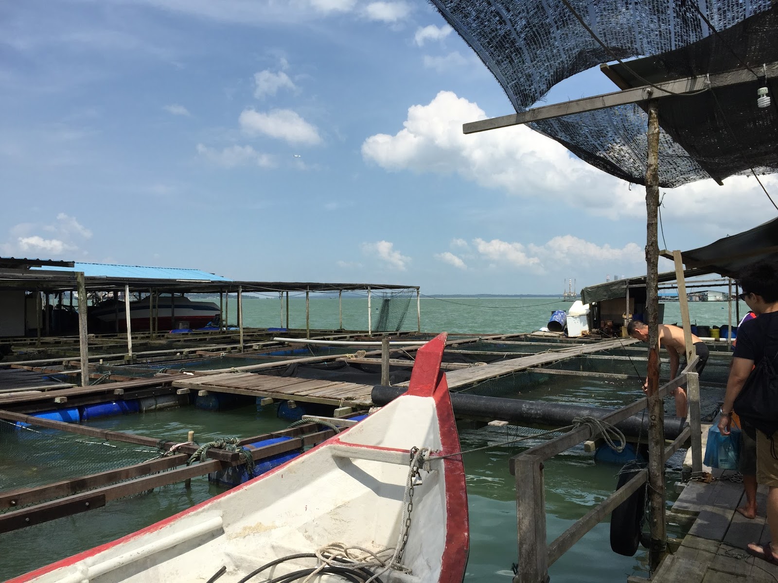 Kong Kong Fishing Trip Blog, Johor Bahru Day Fishing Trip