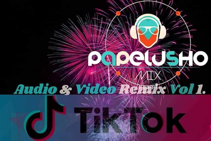 Papelushomix Audio & Video Varios Tik -Tok Remix Vol 1. 